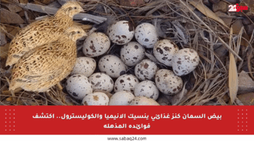بيض السمان كنز غذائي ينسيك الأنيميا والكوليسترول.. اكتشف فوائده المذهلة